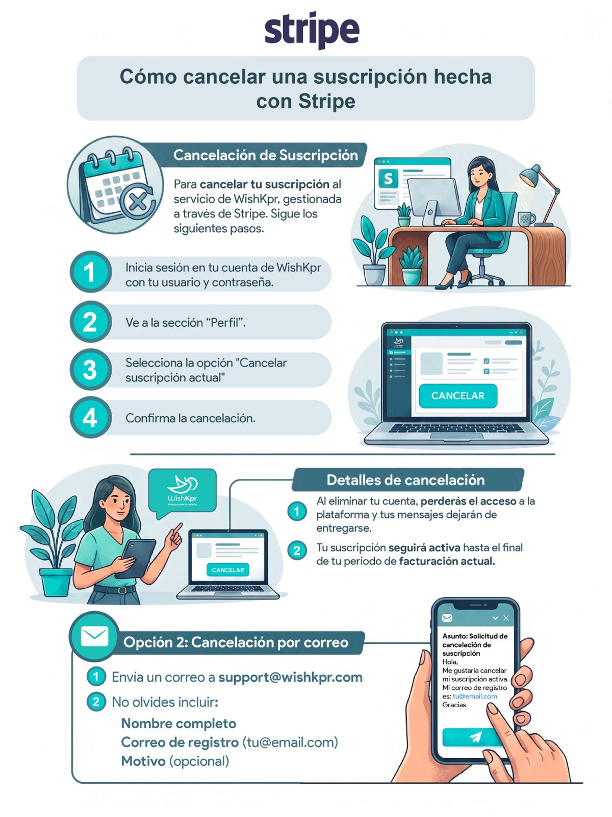 Infografía-Stripe